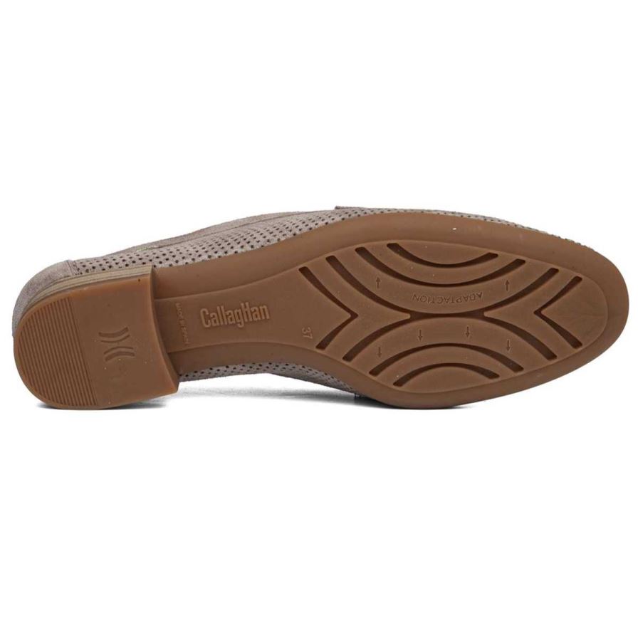 Callaghan 26906 Purple Women's Loafers Brown | YMWVSA
