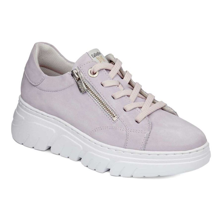 Callaghan 51801 Baccara Women\'s Platform Shoes Purple | ZLUBWA